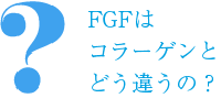 FGFはコラーゲンとどう違うの？